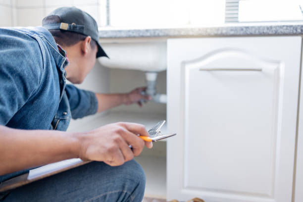 Best Clogged Drain Plumber  in Beardstown, IL