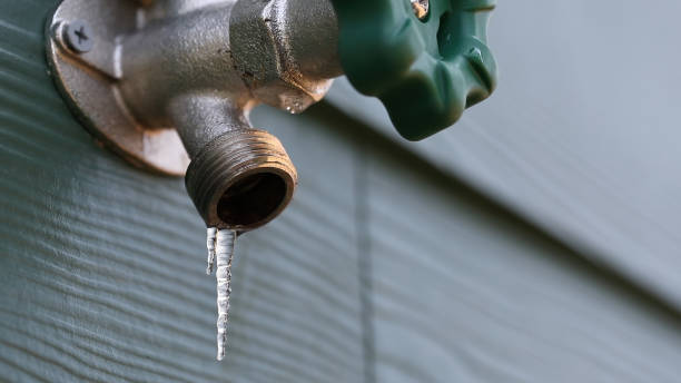 Best Plumbing Services Near Me  in Beardstown, IL